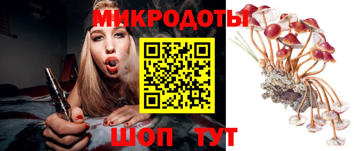 Шебекино  Галлюциногенные грибы ЛСД  Вход с VPN 